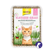 GimCat Katzen-Gras Iarba in container 150 gr