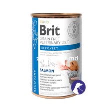 Brit GF Veterinary Diets Dog & Cat Recovery 400 gr