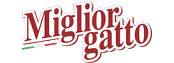 Miglior Gatto