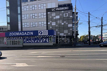 Открылся новый магазин Zooexpert на Рышкановке – настоящий рай для питомцев и их хозяев!